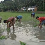 Desherpotirka24.com | দেশের পত্রিকা২৪ | লাইফ স্টাইল